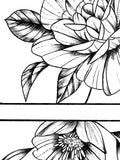 Sexy peony linework forearm tattoo design high resolution download