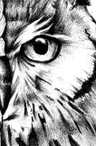 Owl mandala tattoo design high resolution download