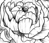 Peony half sleeve linework sexy  tattoo design high resolution download