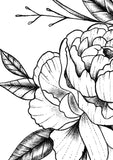 Peony half sleeve linework sexy  tattoo design high resolution download