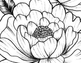 Peony half sleeve linework  tattoo design high resolution download