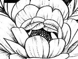Sexy peony linework forearm high resolution download