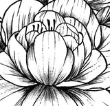 Sexy peony linework forearm tattoo design high resolution download