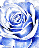 Precious stone with rose tattoo design high resolution download
