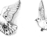 10 x Realistic dove tattoo design high resolution download