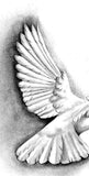 10 x Realistic dove tattoo design high resolution download