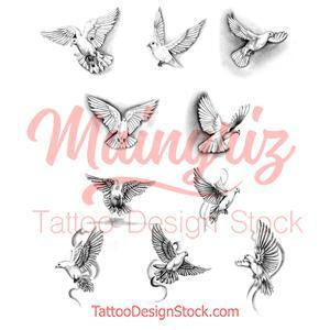10 x Realistic dove tattoo design high resolution download