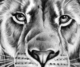 Realistic lion tattoo design high resolution download