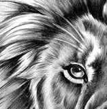 Realistic lion tattoo design high resolution download