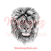 Realistic lion - tattoo design download #9