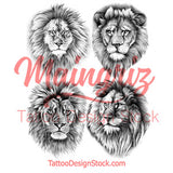 4 x Realistic lion tattoo design high resolution download