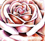 Realistic rose lace tattoo design high resolution download