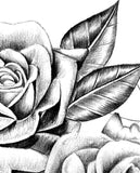Sexy realistic rose high resolution download