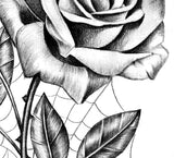 Sexy realistic rose high resolution download