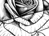 3 x Realistic rose tattoo design high resolution download