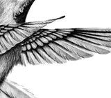 Realistic colibri  design download high resolution download