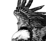 Realistic eagle design download high resolution download