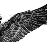 Realistic eagle design download high resolution download