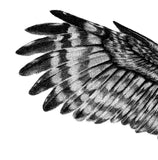 Realistic owl design download high resolution download