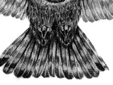 Realistic owl design download high resolution download