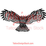 Realistic owl design download high resolution download