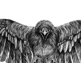 Realistic phoenix- tattoo design download