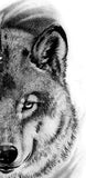 Realistic wolf tattoo design high resolution download