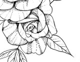 3 x Rose linework tattoo design high resolution download