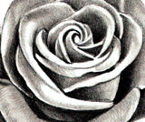 Rose realistic with sexy precious stone  tattoo design high resolution download