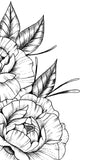Sexy linework peony half sleeve high resolution download
