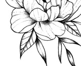 Sexy peony half sleeve linework high resolution download