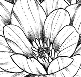Sexy peony linework forearm  - tattoo design download