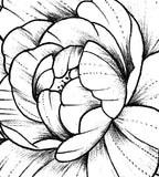 Sexy peony linework half sleeve  - tattoo design download