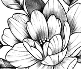 Sexy peony linework sideboob  tattoo design high resolution download