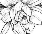 Sexy peony linework forearm tattoo design high resolution download
