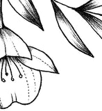 Sexy peony linework forearm tattoo design high resolution download