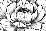 Peony sideboob linework tattoo design high resolution download