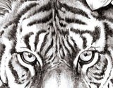 Realistic tiger with lotus tattoo design high resolution download