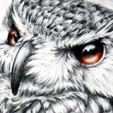 Realistic lion and owl tattoo design high resolution download