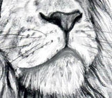 Realistic lion and owl tattoo design high resolution download