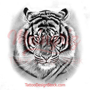 Realistic tiger tattoo design high resolution download 