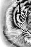 Realistic tiger tattoo design high resolution download 