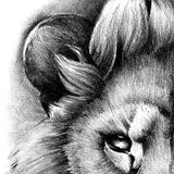 Realistic lion tattoo design high resolution download