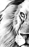 Realistic lion tattoo design high resolution download