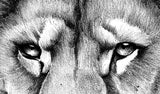 Realistic lion tattoo design high resolution download