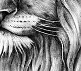 Realistic lion tattoo design high resolution download