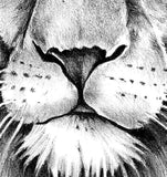 Realistic lion tattoo design high resolution download