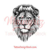 Realistic lion tattoo design high resolution download