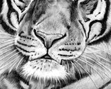 Realistic tiger Tattoo design high resolution download