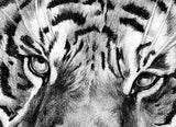 Realistic tiger Tattoo design high resolution download